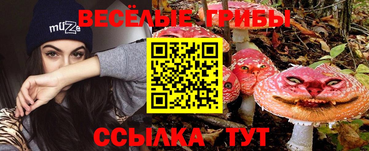 Псилоцибиновые грибы мицелий Сальск